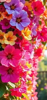Vibrant floral wallpaper with colorful blossoms in full bloom.