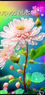 Vibrant morning floral wallpaper with colorful blooms and greetings.