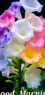 Colorful morning glories with 'Good Morning' text.