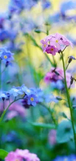 Vivid blue and pink flowers in a lush garden setting.