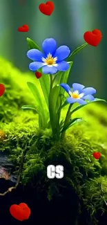 Blue flowers on green moss with red hearts.