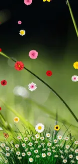 Vibrant floral wallpaper with colorful blossoms and green background.