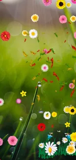 Vibrant floral mobile wallpaper with green background and colorful flowers.