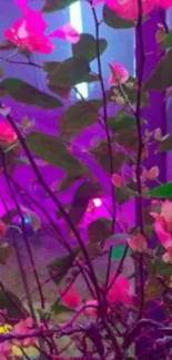 Vibrant pink flowers against a neon-lit background of vivid green leaves.