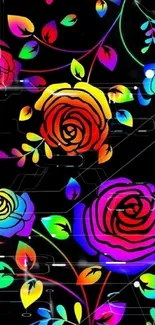 Colorful neon roses on a black background.