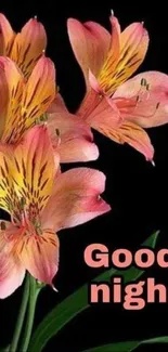 Beautiful floral wallpaper with 'Good Night' text.