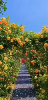 A vibrant path lined with blooming yellow and orange flowers.