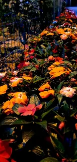 Vibrant floral pathway with orange and red flowers on a mobile wallpaper background.