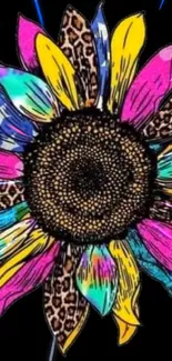 Colorful sunflower with leopard print petals on black background.