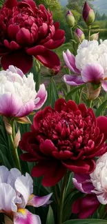 Vibrant floral wallpaper with red peonies.