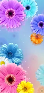 Colorful floral wallpaper with gradient background.