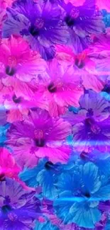 Vibrant floral wallpaper with pink, purple, and blue hibiscus flowers.