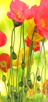 Vibrant floral wallpaper featuring colorful poppy flowers on a yellow background.