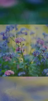 Vibrant floral wallpaper with blue and pink blooms creating a serene mobile backdrop.