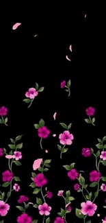 Mobile wallpaper with vibrant pink flowers on a black background.