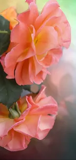 Vibrant pink flowers with green leaves on a mobile wallpaper.