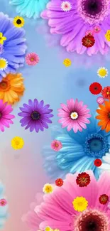 Vibrant floral wallpaper with colorful flowers on a blue and pastel gradient background.