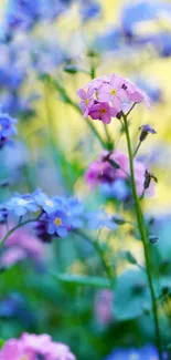 Vibrant blue and pink floral phone wallpaper with lush greenery.