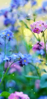 Vibrant blue and pink flowers in a serene garden setting.