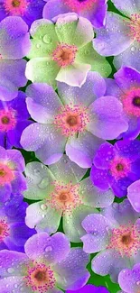 Vibrant floral wallpaper with purple and pink flowers and green leaves.