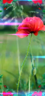 Red flower with green backdrop and artistic frame wallpaper.