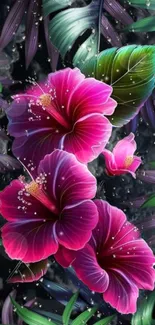 Vibrant pink hibiscus and green leaves wallpaper.