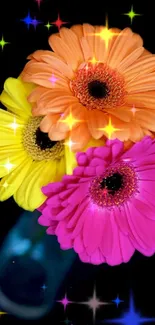 Vibrant floral wallpaper with colorful daisies against a black background.