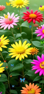 Vibrant colorful flowers with lush green leaves.