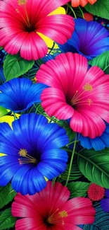 Vibrant hibiscus flowers wallpaper with colorful petals and green leaves.