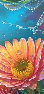 Vibrant orange and pink flower with water droplets.