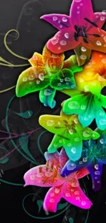 Vibrant colorful flowers on a dark background mobile wallpaper.