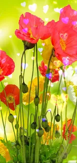 Colorful poppies against a vibrant green background.