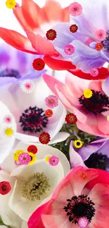 Vibrant anemone flowers in red, purple, and white hues for a stunning mobile wallpaper.