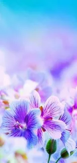 Purple floral wallpaper with soft focus background.