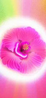 Vibrant pink hibiscus flower with colorful background gradient.