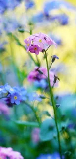 Delicate blue and pink flowers in a vibrant floral phone wallpaper.