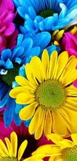 Colorful daisies in vibrant yellow, blue, and pink hues.