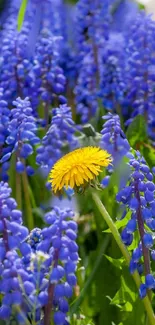 Vibrant wallpaper of blue and yellow flowers in a lush garden setting.