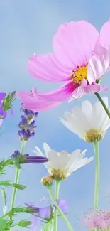 Vibrant pink, purple, and white flowers against a blue sky in a phone wallpaper.