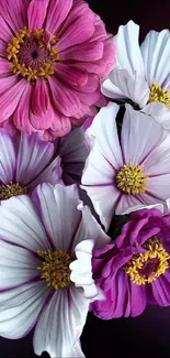 Pink and white flowers against a purple background.