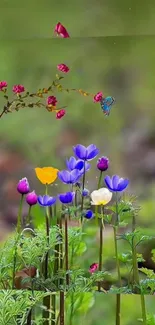 Colorful flowers with a lush green background wallpaper.