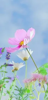 Colorful flowers against a blue sky wallpaper.