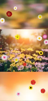 Colorful floral phone wallpaper with blooming flowers in sunlit garden.