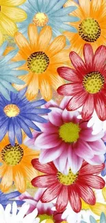 Vibrant and colorful floral wallpaper with diverse blooming flowers.