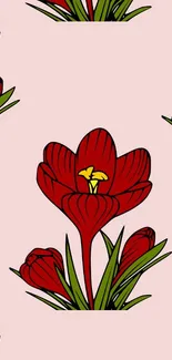 Red flowers on soft pink background mobile wallpaper.