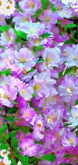 Vibrant pink and white flowers with green leaves.