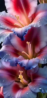 Blue and pink flower wallpaper with water droplets.