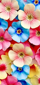 Colorful flower pattern wallpaper with vibrant petals.