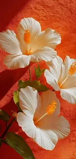 White flowers on orange background mobile wallpaper.