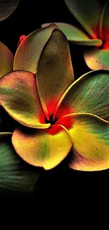 Beautiful tropical flower wallpaper with vibrant colors and detailed petals.